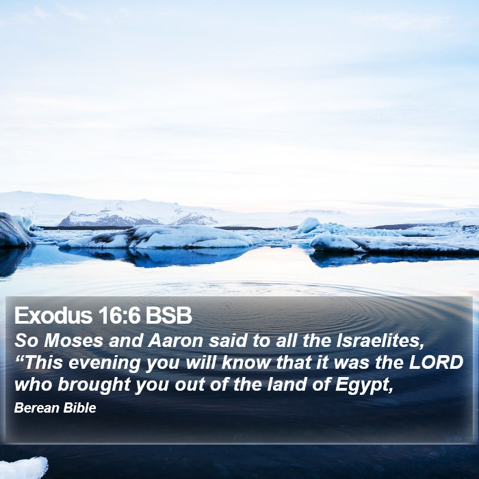 Exodus 16:6 BSB Bible Study