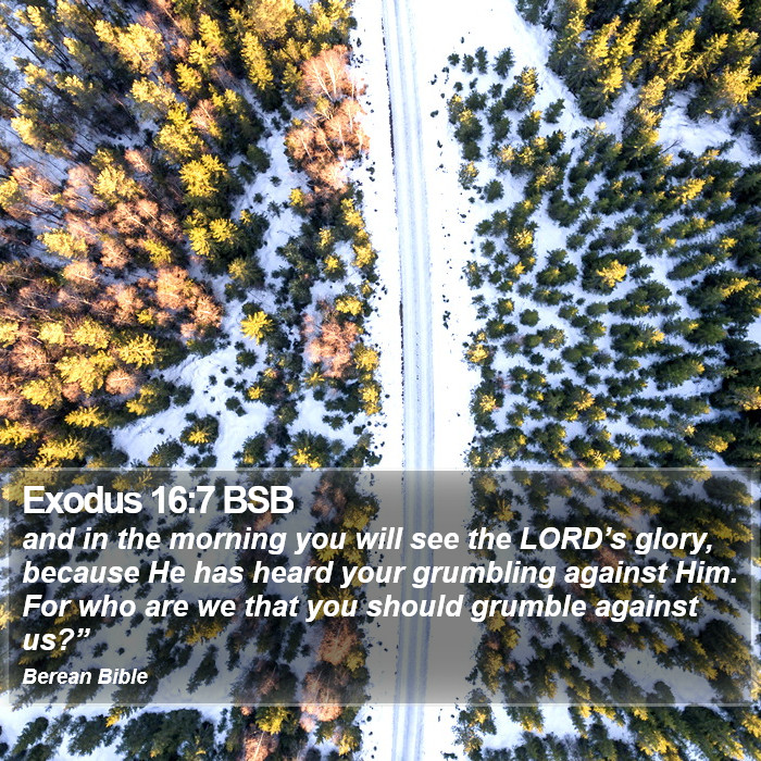 Exodus 16:7 BSB Bible Study