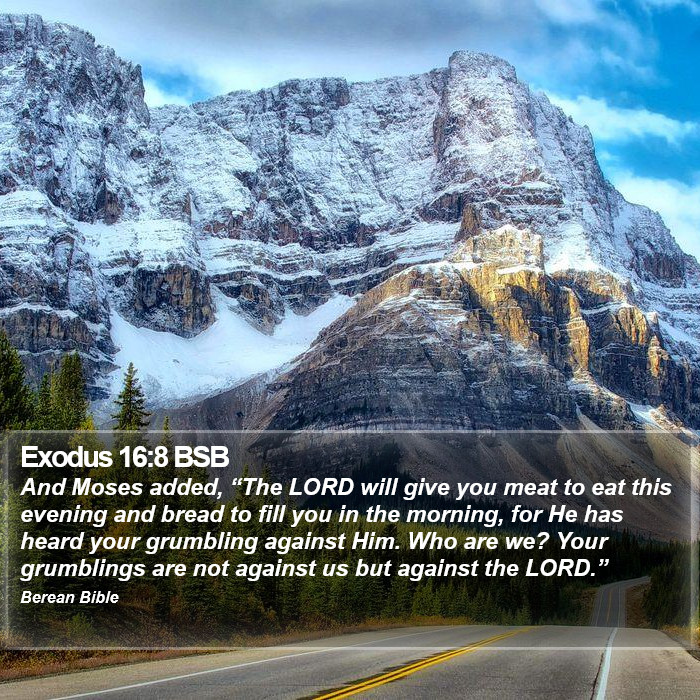 Exodus 16:8 BSB Bible Study