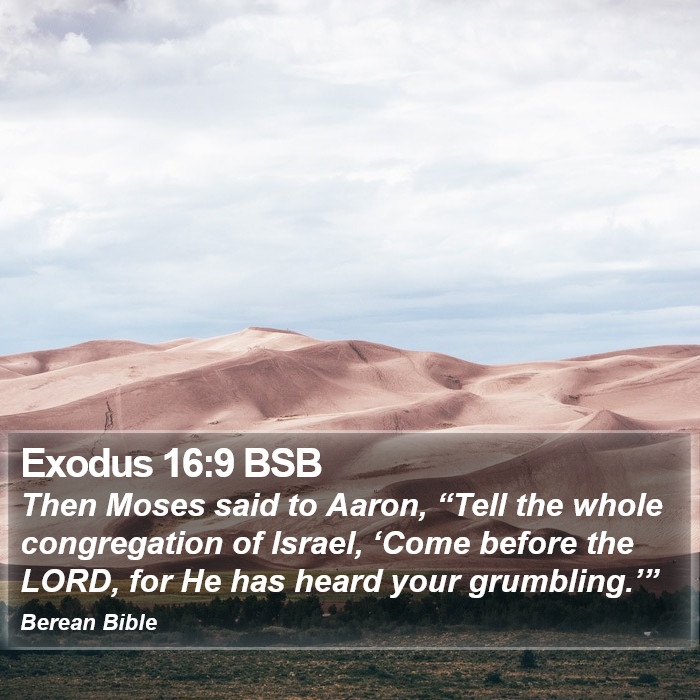 Exodus 16:9 BSB Bible Study