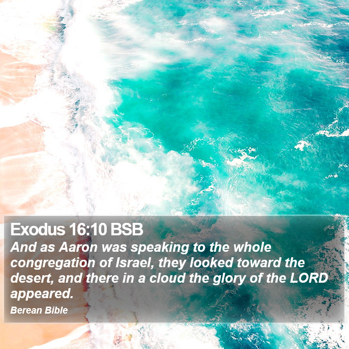 Exodus 16:10 BSB Bible Study