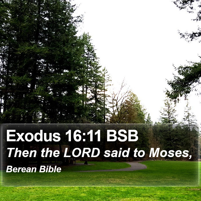 Exodus 16:11 BSB Bible Study