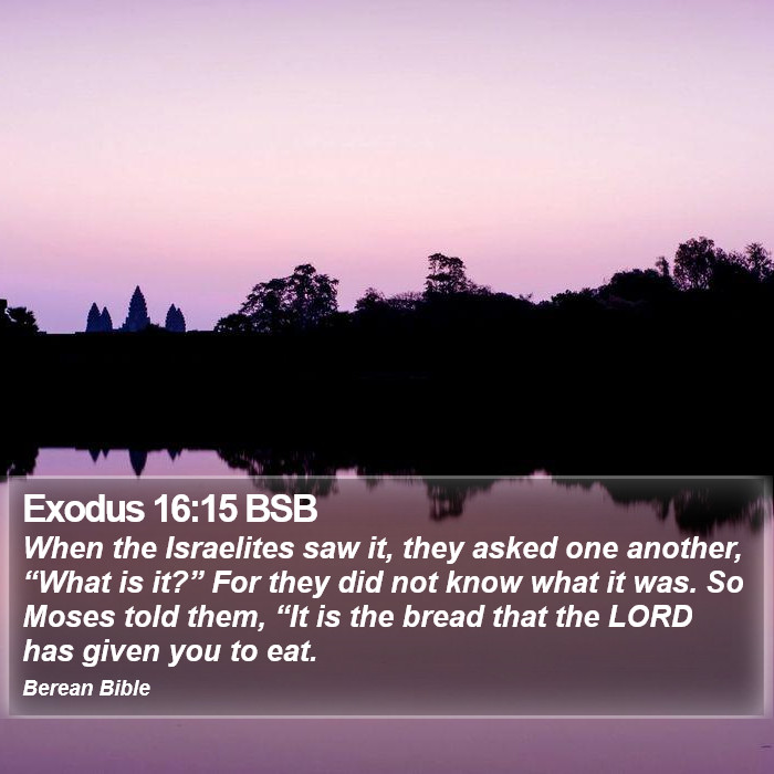 Exodus 16:15 BSB Bible Study