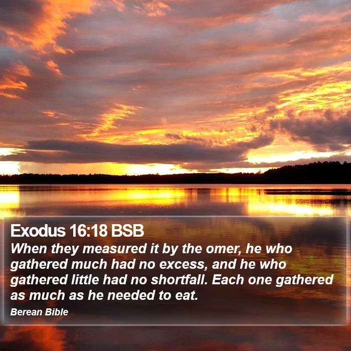 Exodus 16:18 BSB Bible Study