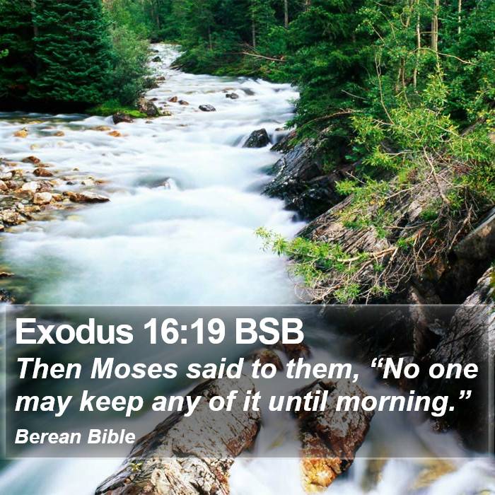 Exodus 16:19 BSB Bible Study