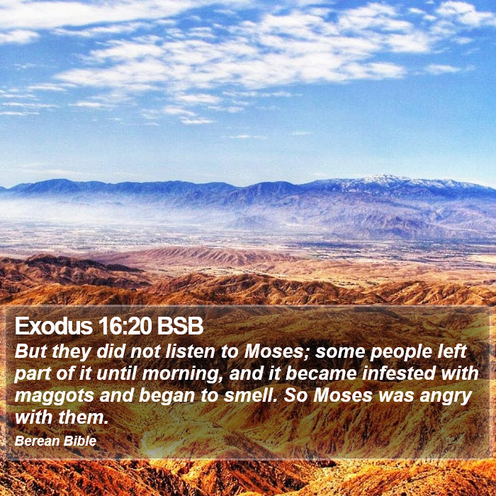 Exodus 16:20 BSB Bible Study