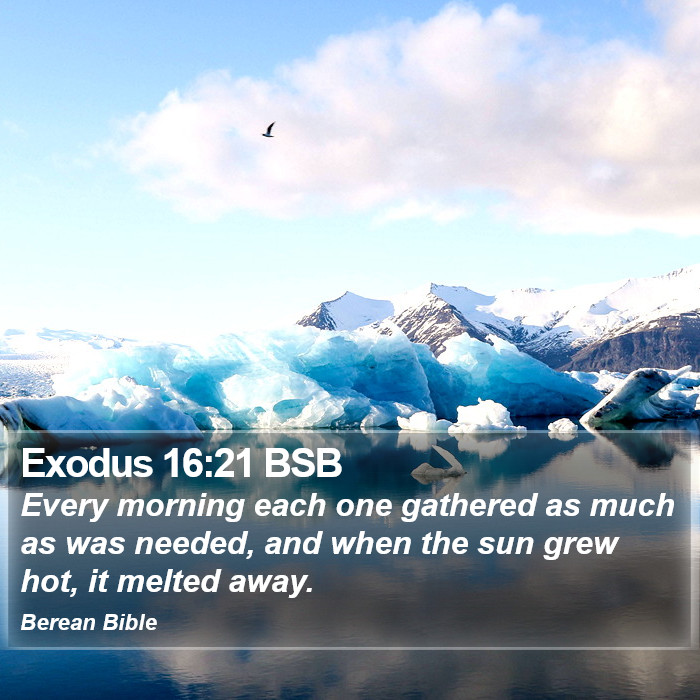 Exodus 16:21 BSB Bible Study