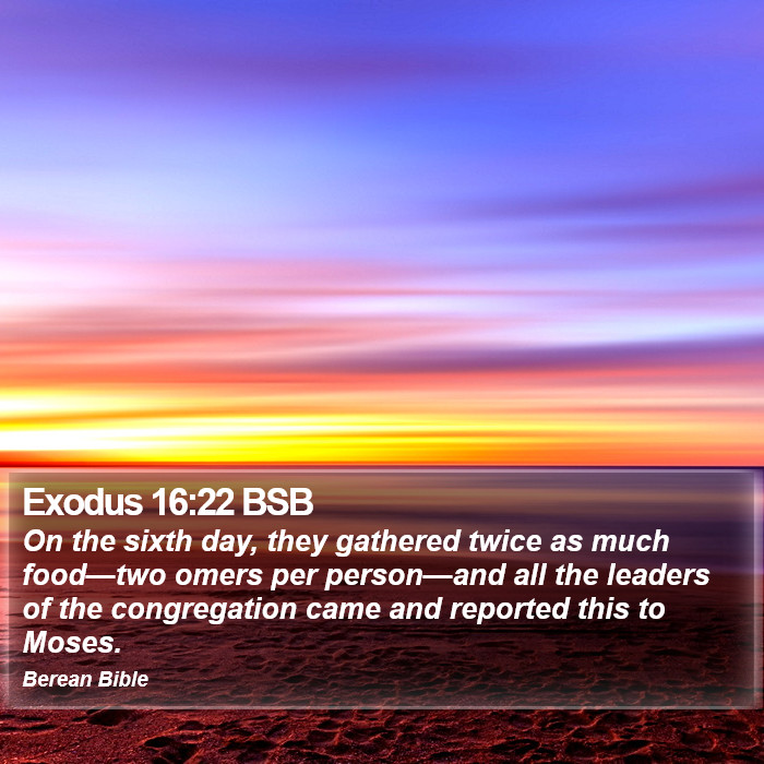 Exodus 16:22 BSB Bible Study