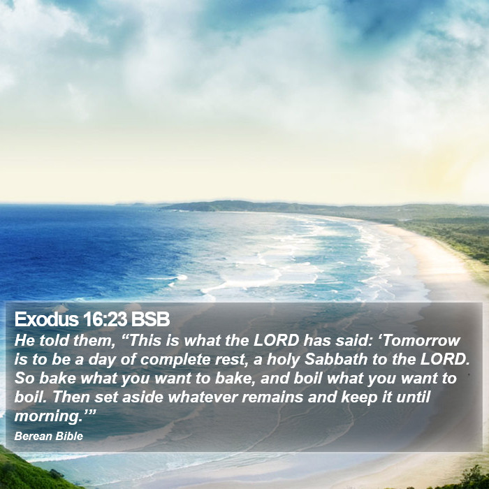 Exodus 16:23 BSB Bible Study