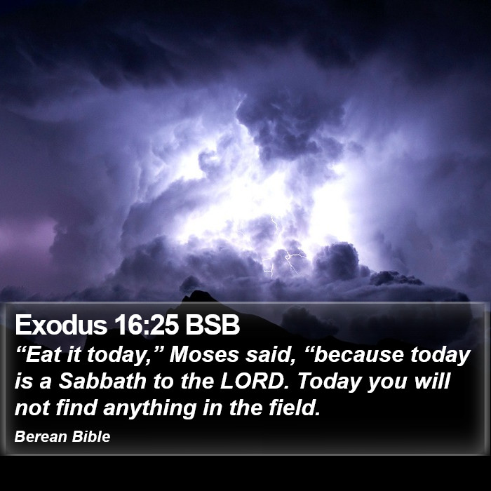 Exodus 16:25 BSB Bible Study