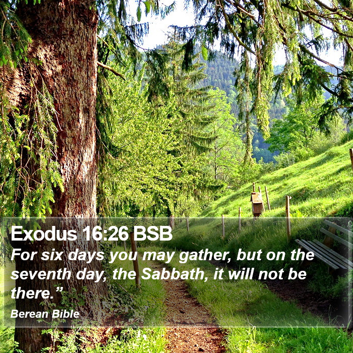 Exodus 16:26 BSB Bible Study