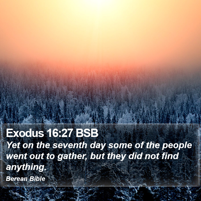 Exodus 16:27 BSB Bible Study