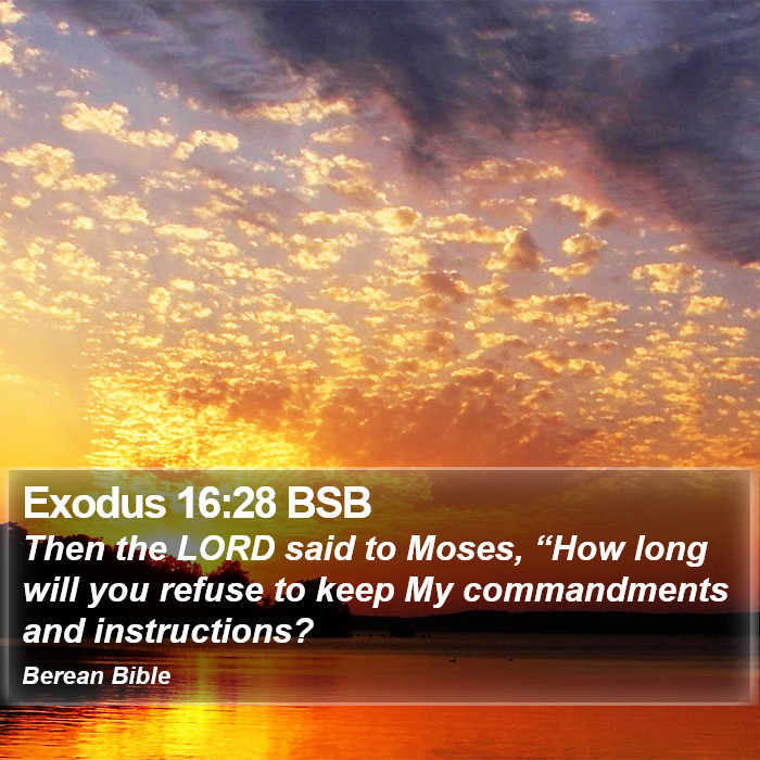 Exodus 16:28 BSB Bible Study