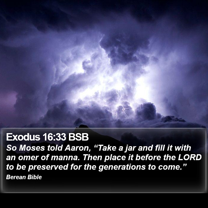 Exodus 16:33 BSB Bible Study