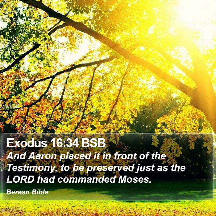 Exodus 16:34 BSB Bible Study