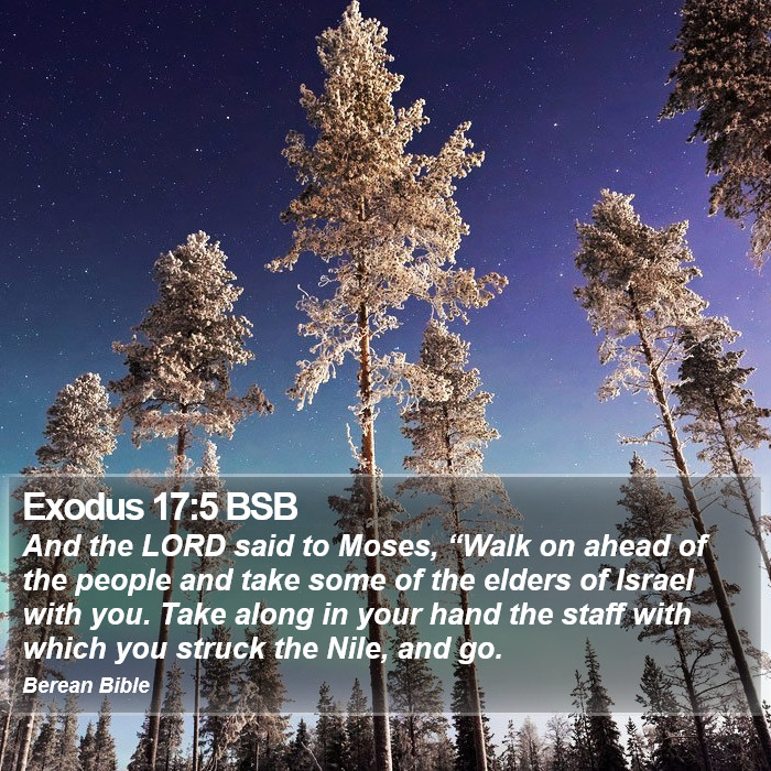 Exodus 17:5 BSB Bible Study