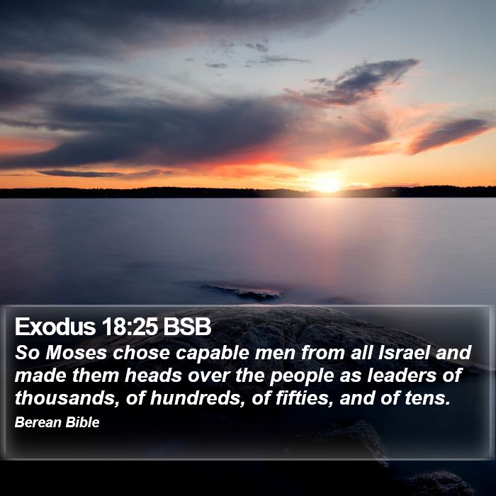 Exodus 18:25 BSB Bible Study