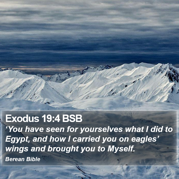 Exodus 19:4 BSB Bible Study