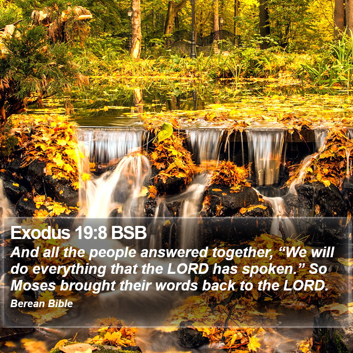 Exodus 19:8 BSB Bible Study