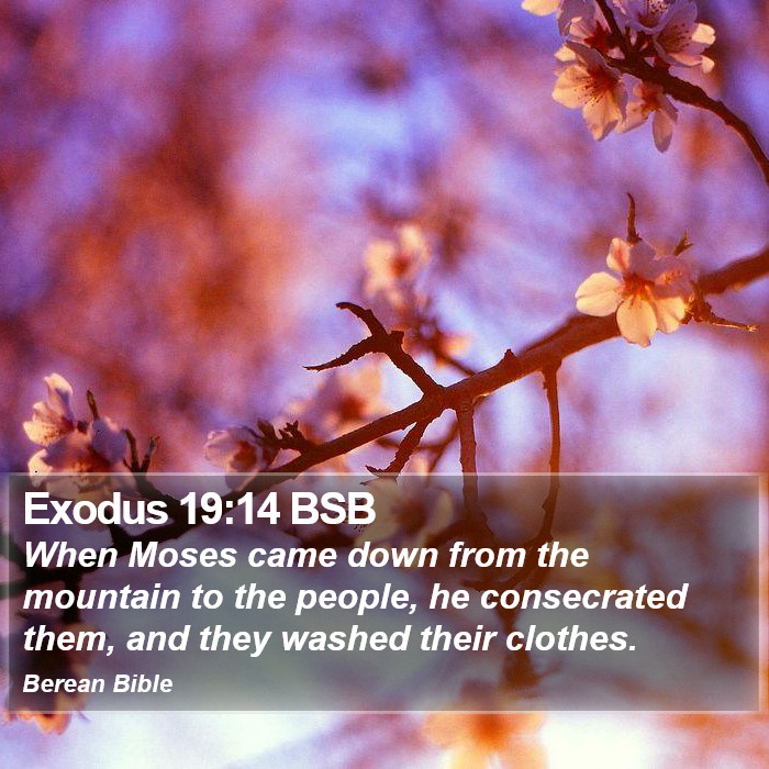 Exodus 19:14 BSB Bible Study