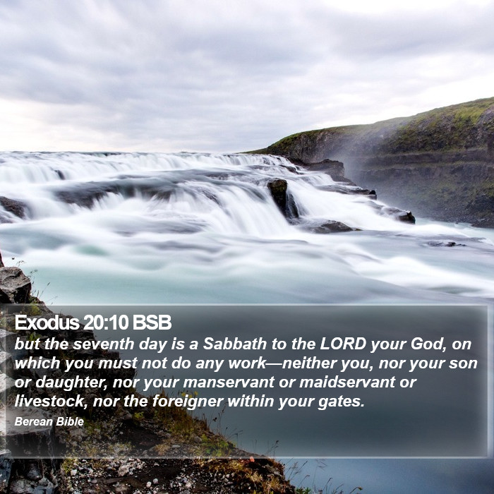 Exodus 20:10 BSB Bible Study