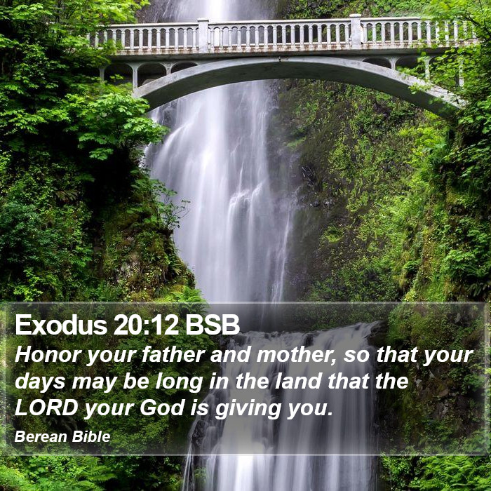 Exodus 20:12 BSB Bible Study