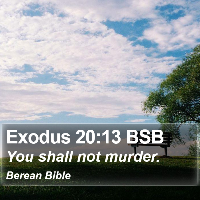 Exodus 20:13 BSB Bible Study