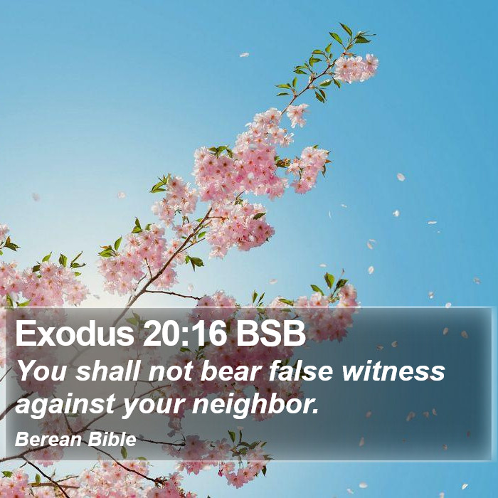 Exodus 20:16 BSB Bible Study