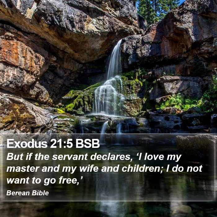 Exodus 21:5 BSB Bible Study