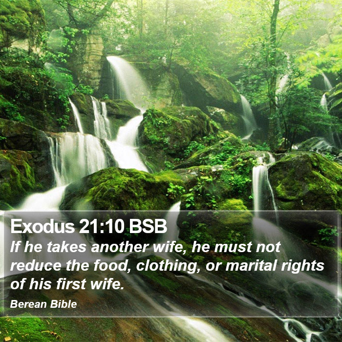 Exodus 21:10 BSB Bible Study