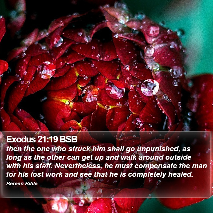 Exodus 21:19 BSB Bible Study