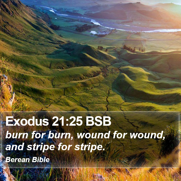 Exodus 21:25 BSB Bible Study