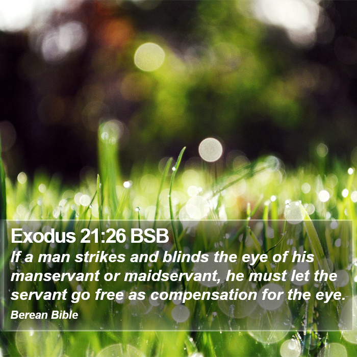 Exodus 21:26 BSB Bible Study