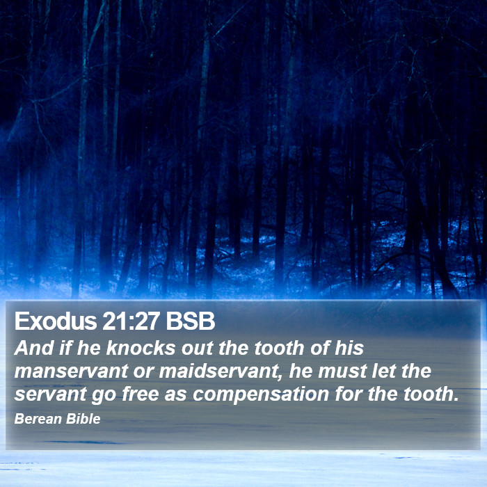 Exodus 21:27 BSB Bible Study