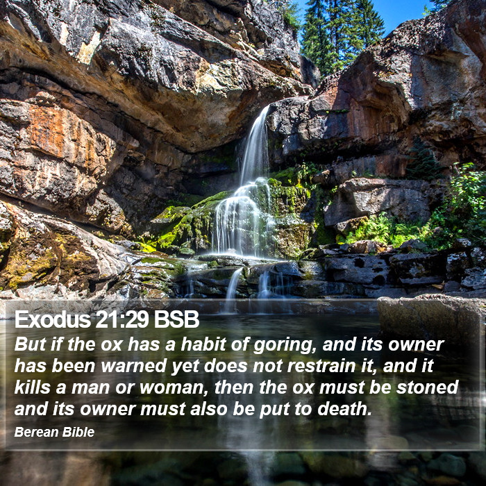 Exodus 21:29 BSB Bible Study