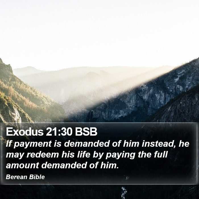 Exodus 21:30 BSB Bible Study