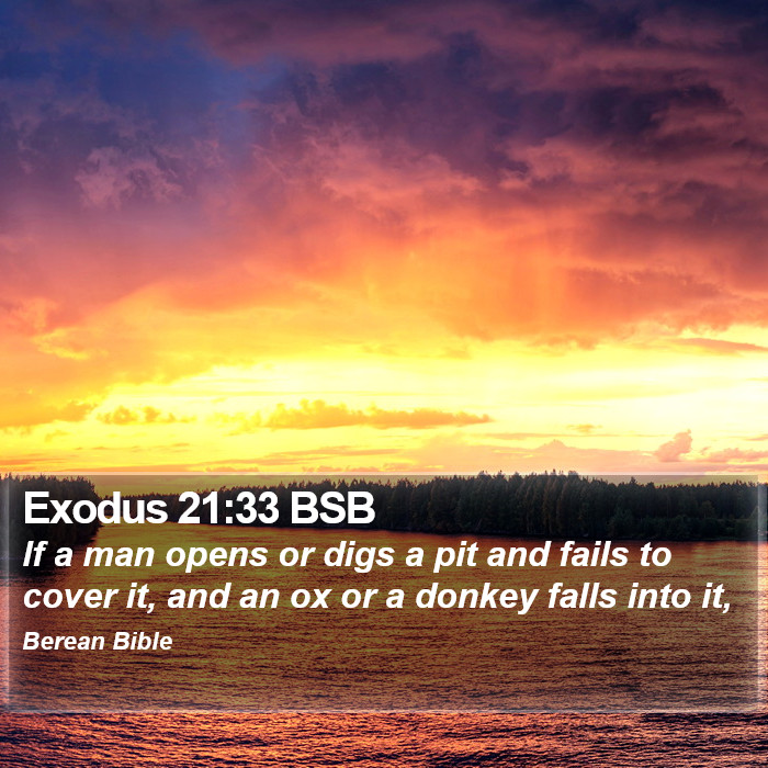 Exodus 21:33 BSB Bible Study