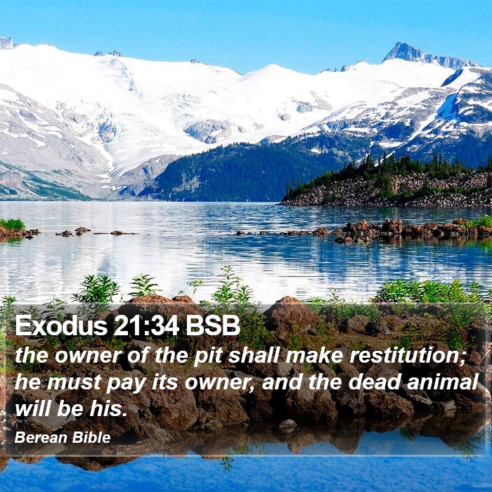 Exodus 21:34 BSB Bible Study