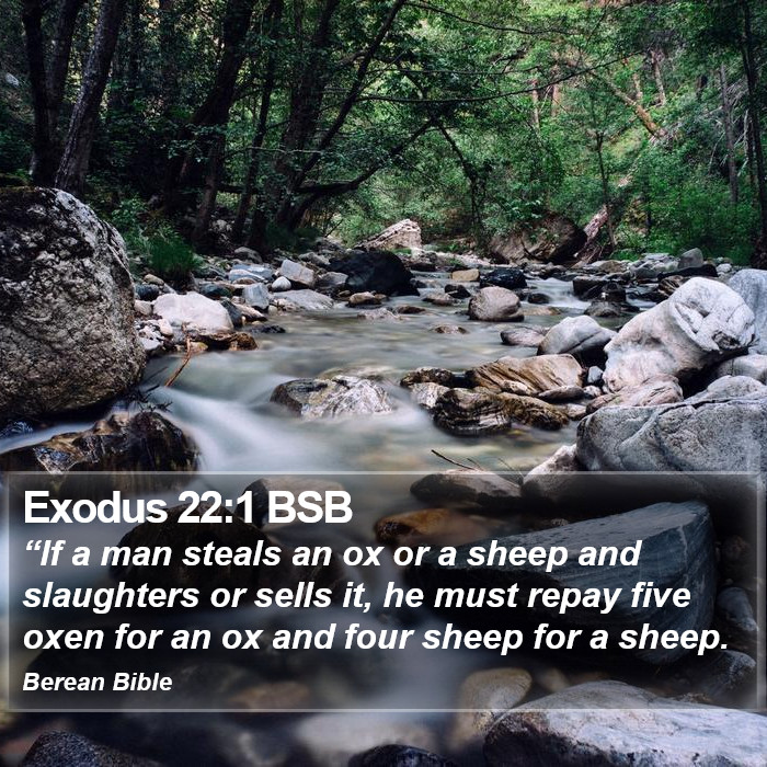 Exodus 22:1 BSB Bible Study