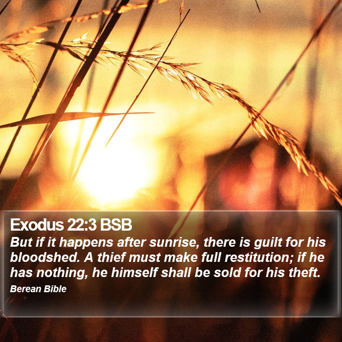 Exodus 22:3 BSB Bible Study