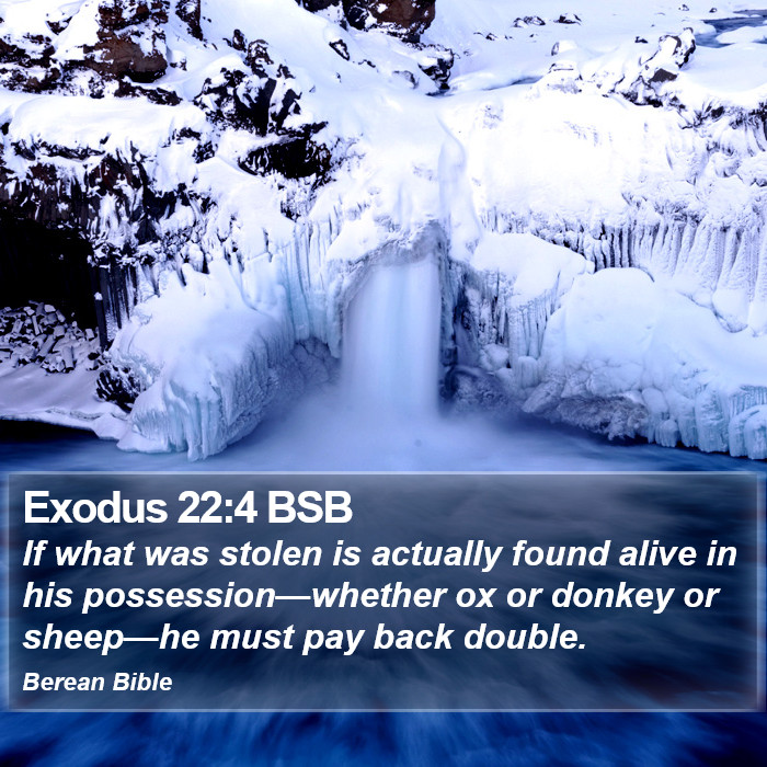 Exodus 22:4 BSB Bible Study