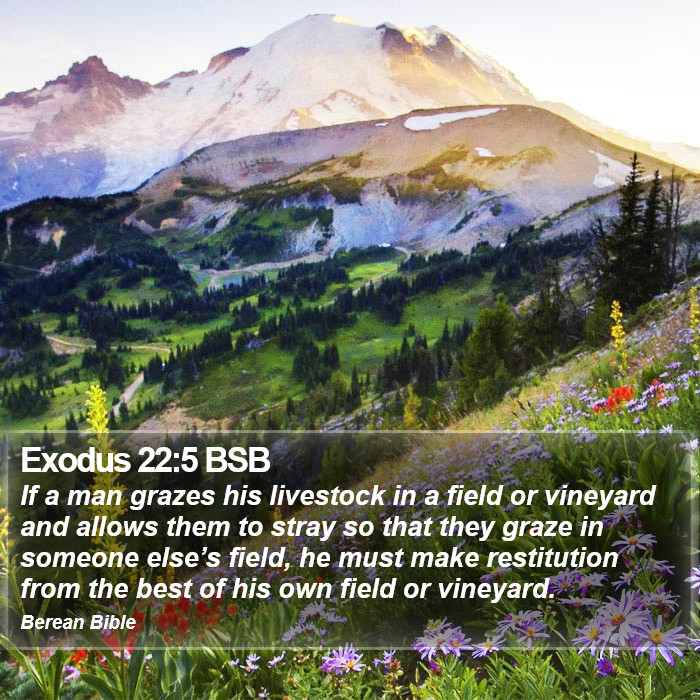 Exodus 22:5 BSB Bible Study