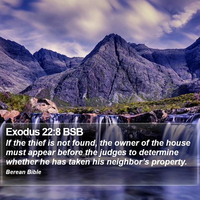 Exodus 22:8 BSB Bible Study