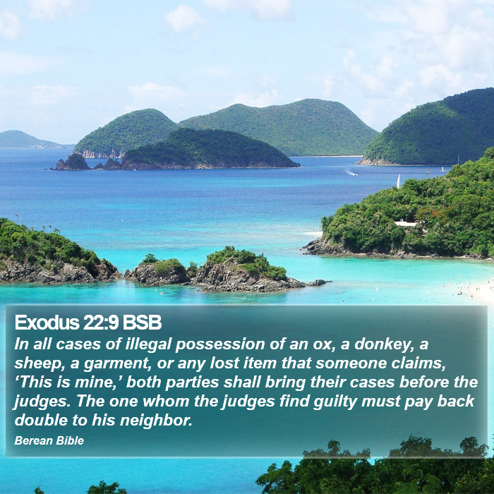 Exodus 22:9 BSB Bible Study