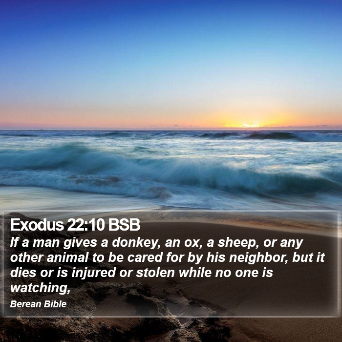 Exodus 22:10 BSB Bible Study