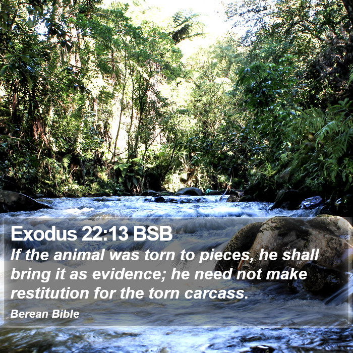 Exodus 22:13 BSB Bible Study