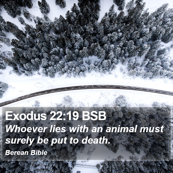 Exodus 22:19 BSB Bible Study