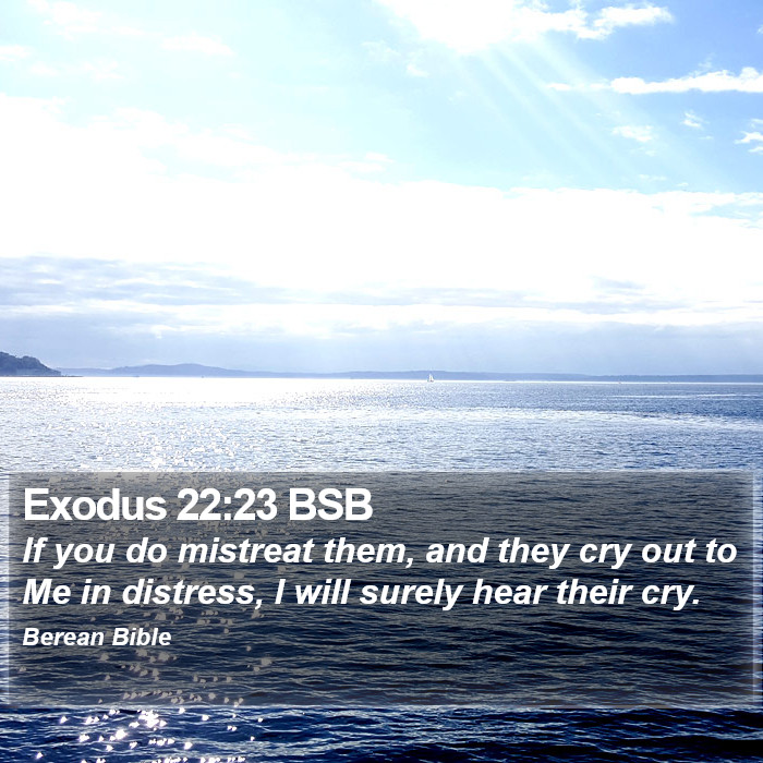 Exodus 22:23 BSB Bible Study