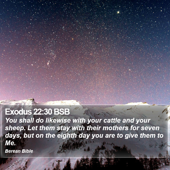 Exodus 22:30 BSB Bible Study