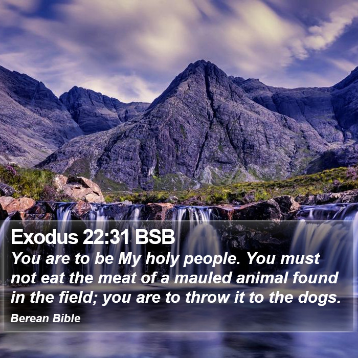 Exodus 22:31 BSB Bible Study